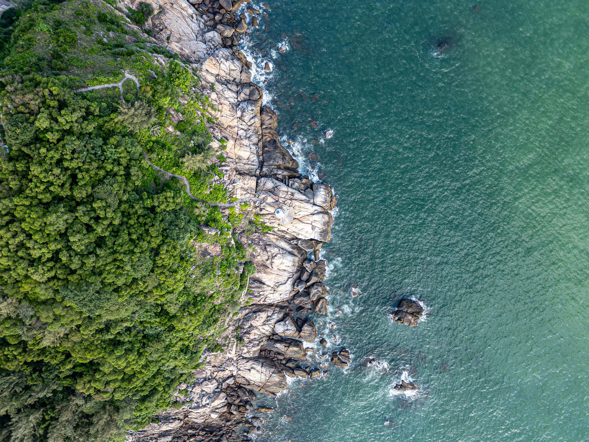 Aerial view looking straight down at a coastline where a wooded headland meets the sea along one hard, irregular edge.
